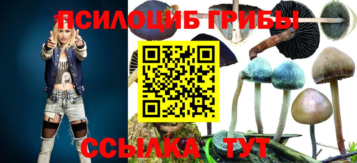 Галлюциногенные грибы прущие грибы Елизово